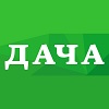 dacha 100
